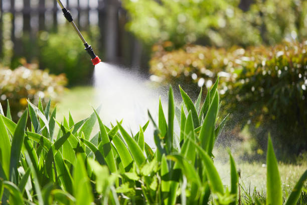 24/7 Emergency Mosquito Control experts in Ashland, WI